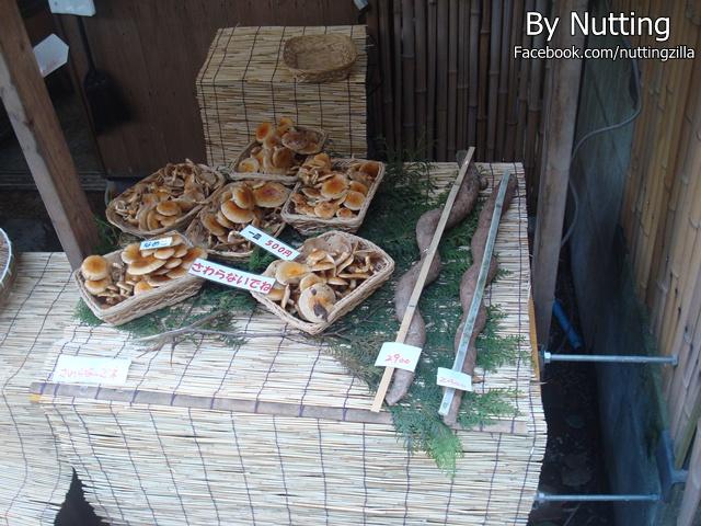 DSC03890.JPG